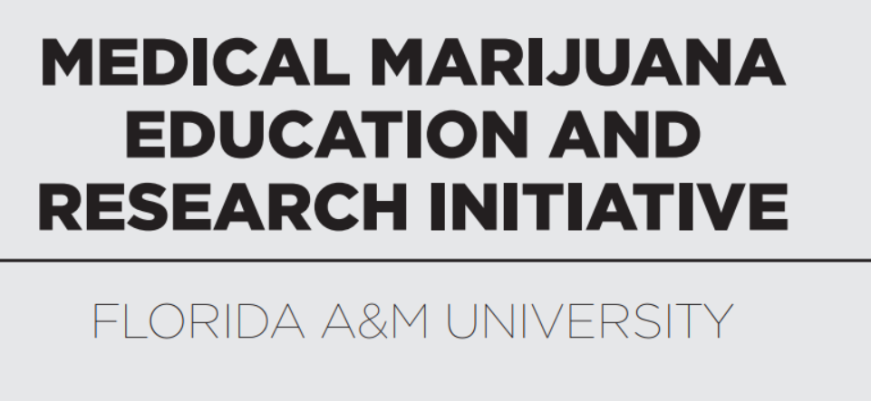 Black pastors have faith in medical marijuana treatment